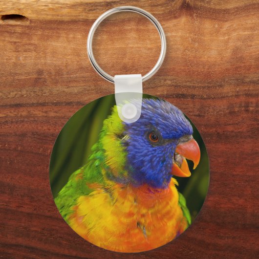 Papagei Schlüsselanhänger (Vorderseite)