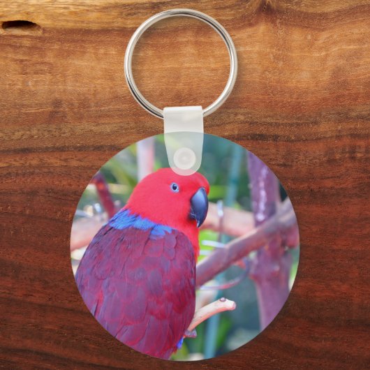 Papagei Schlüsselanhänger (Vorderseite)