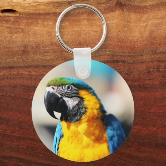 Papagei Schlüsselanhänger (Vorderseite)