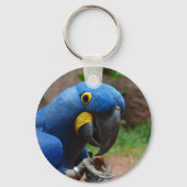 Papagei Schlüsselanhänger (Vorderseite)