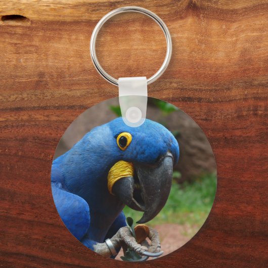 Papagei Schlüsselanhänger (Vorderseite)