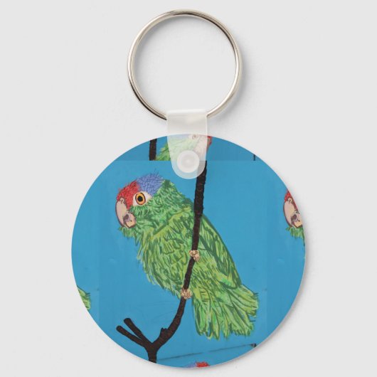 Papagei-Schlüsselanhänger Schlüsselanhänger (Vorderseite)
