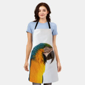 Papagei Schürze (Getragen)