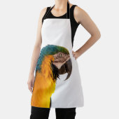 Papagei Schürze (InSitu)