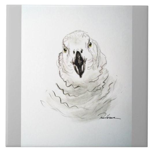 Papagei sieht dich an. . . fliese (Vorderseite)