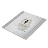 Papagei sieht dich an. . . fliese (Seite)