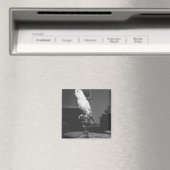 Papagei sitzt auf Kerzenhalter B&W Magnet (In Situ (Geschirrspüler))