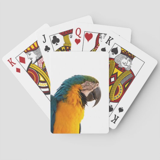 Papagei Spielkarten (Rückseite)