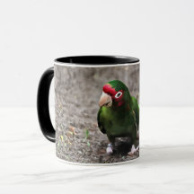 Papagei-Tasse