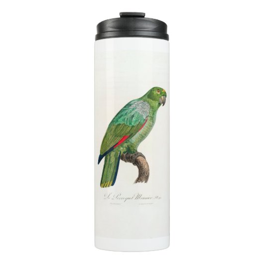 Papagei Thermosbecher (Vorderseite)