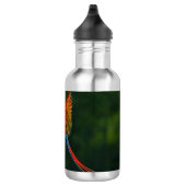 Papagei Trinkflasche (Rechts)