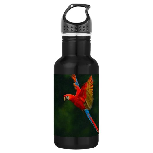 Papagei Trinkflasche (Vorderseite)
