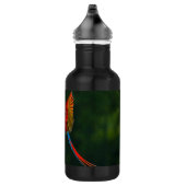 Papagei Trinkflasche (Rechts)