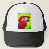 Papagei Truckerkappe (Vorderseite)