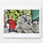 Papagei und Cockatoo Mousepad (Vorne)