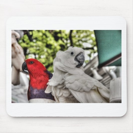 Papagei und Cockatoo Mousepad (Vorne)