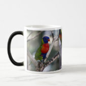 Papagei und Lorikeets Tasse (Links)