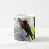 Papagei und Lorikeets Tasse (Mittel)