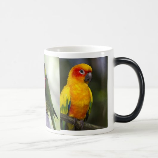 Papagei und Lorikeets Tasse (Rechts)
