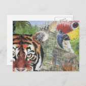 Papagei und Tiger Postkarte (Vorne/Hinten)