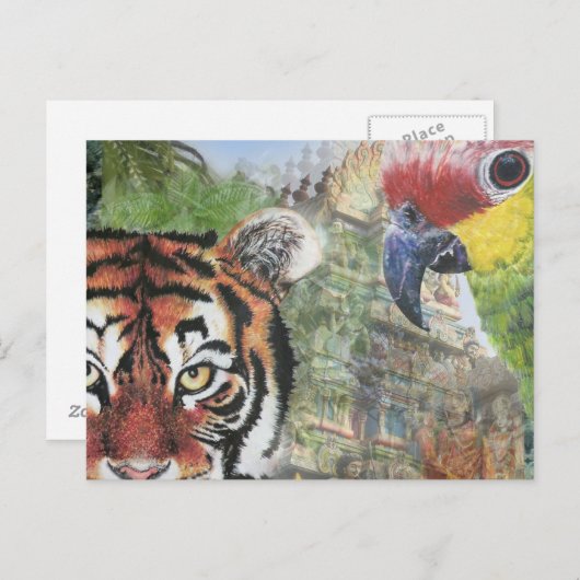 Papagei und Tiger Postkarte (Vorne/Hinten)