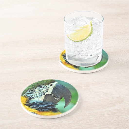Papagei Untersetzer (Seite)
