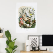 Papagei-Vintage Drucksammlung 1848 Poster (Heimbüro)