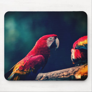 Papagei, Vogel, Ara Mousepad