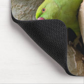 Papagei, Vögel, Natur Mousepad (Ecke)