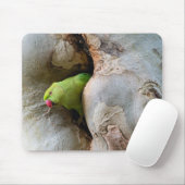 Papagei, Vögel, Natur Mousepad (Mit Mouse)
