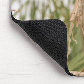 Papagei, Vogel, sitzen Mousepad (Ecke)