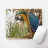 Papagei, Vogel, sitzen Mousepad (Mit Mouse)