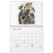 Papagei, Vogelsammlung Kalender (Feb 2027)