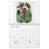 Papagei, Vogelsammlung Kalender (Mär 2027)