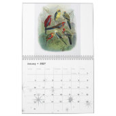 Papagei, Vogelsammlung Kalender (Jan 2027)