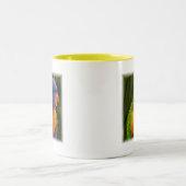 Papagei Zweifarbige Tasse (Mittel)