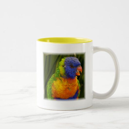 Papagei Zweifarbige Tasse (Rechts)
