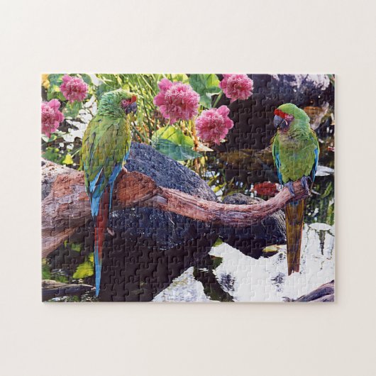 Papageien auf Zweig mit Teich, Felsen, Blume Puzzle (Horizontal)