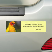 Papageien-Autoaufkleber Sun Conure (mit Text) Autoaufkleber (Auf Auto)