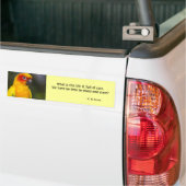 Papageien-Autoaufkleber Sun Conure (mit Text) Autoaufkleber (Auf Lkw)