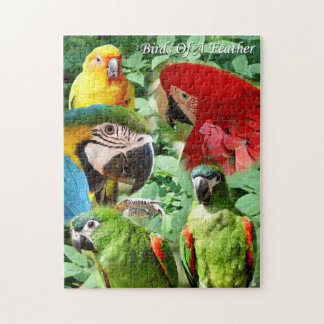 Papageien - Birds- of a Featherpuzzlespiel Puzzle