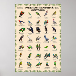 Papageien der Welt - Australien Poster
