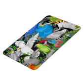 Papageien des Premium Magnet der Welt (Linke Seite)