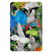 Papageien des Premium Magnet der Welt (Vertikal)