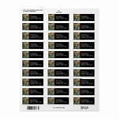 Papageien des World-II-Siegels (Vorne)