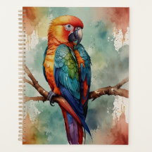 Papageien, die ursprüngliche Sprachunterstützung