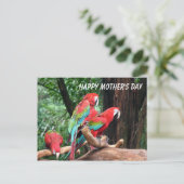 Papageien Frohen Muttertag Postkarte (Stehend Vorderseite)