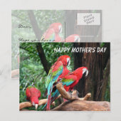 Papageien Frohen Muttertag Postkarte (Vorne/Hinten)