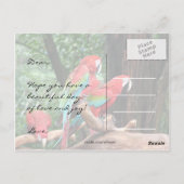 Papageien Frohen Muttertag Postkarte (Rückseite)