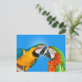 Papageien in der Liebe Postkarte (Stehend Vorderseite)
